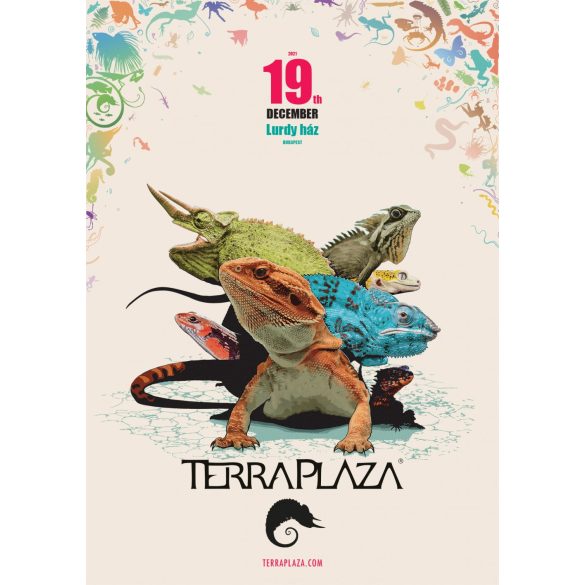 TerraPlaza 40th eredeti plakát (A2 méret)